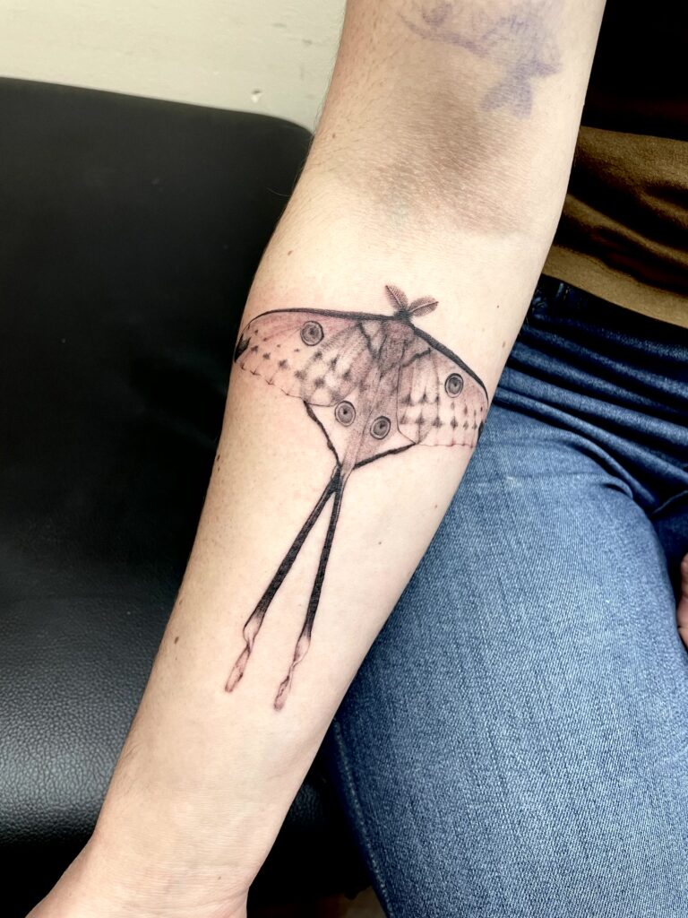 Allyssa-Bollmann- Moth -Tattoos Allyssa-Bollmann- Moth -Tattoos