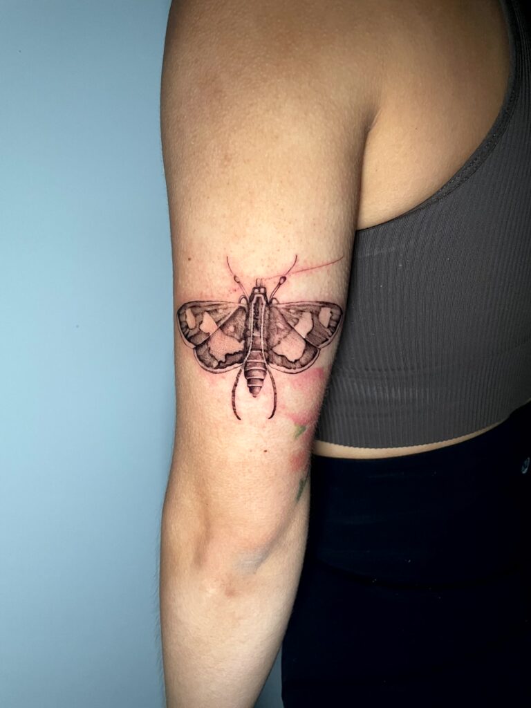 Allyssa-Bollmann- Moth -Tattoos Allyssa-Bollmann- Moth -Tattoos