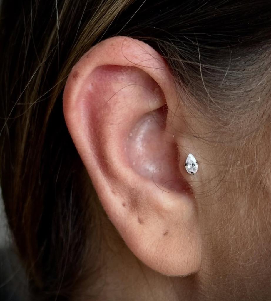 Shannon Maglione - Piercings - Piercer - Pure Ink Tattoo Studio NJ Shannon Maglione - Piercings - Piercer - Pure Ink Tattoo Studio NJ