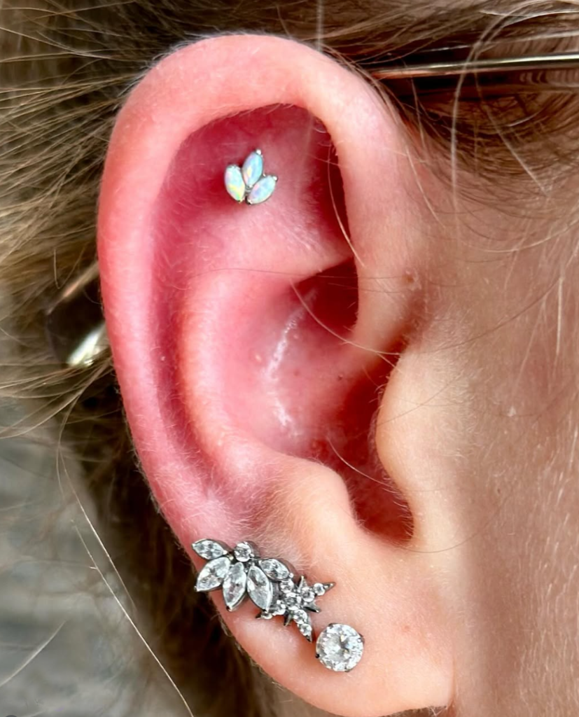Shannon Maglione - Piercings - Piercer - Pure Ink Tattoo Studio NJ Shannon Maglione - Piercings - Piercer - Pure Ink Tattoo Studio NJ