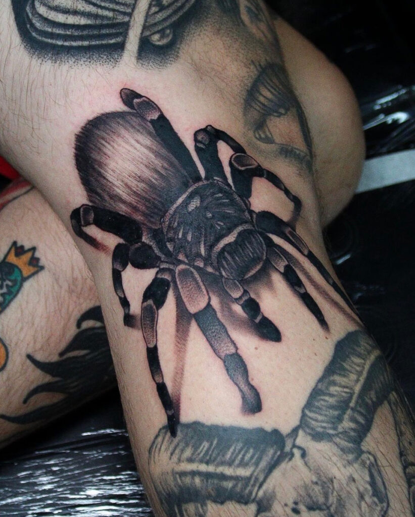Pure Ink Tattoo - NJ - Tito Rodriguez - Spider Tattoo Pure Ink Tattoo - NJ - Tito Rodriguez - Spider Tattoo